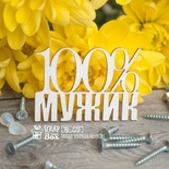 Чипборд ScrapBox - 100% чоловік Hi-225