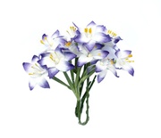 Набір лілій на стеблі від ScrapBerryʼs, колір білий з синім, 10 шт.