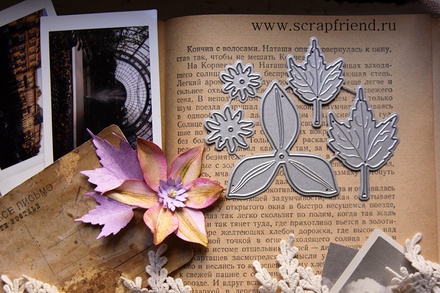 Набір ножів для вирубки від Scrapfriend - Клематис, 5шт.ук