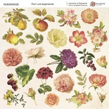 Аркуш одностороннього паперу 20x20см Аркуш для вирізання Some days від Scrapmir