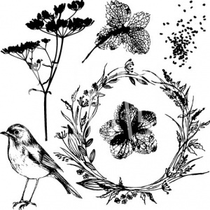 Набор штампов от Артелье - «PHOTOсинтез». Размеры в см: 8x8.