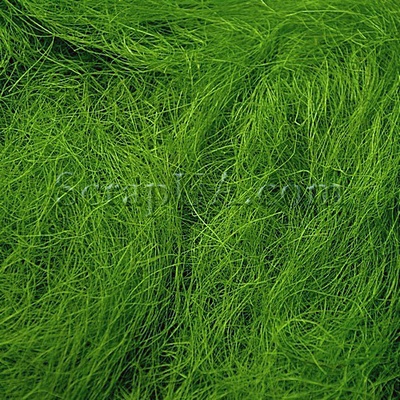 Сизаль натуральный, цвет светло-оливковый, 40 г