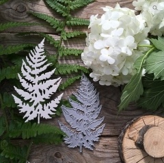 Набор ножей для вырубки от MiMiCut - «Лесной папоротник», 53*89мм