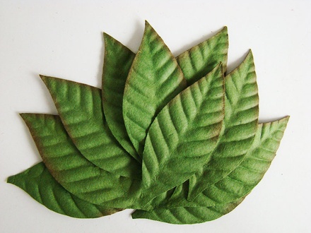 Листочки вишні, 70x30 мм, 10 шт.