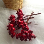 Шиповник, цвет красный, пучок из 12 штук