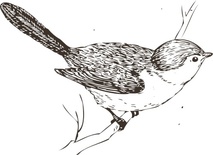 Акриловый штамп FA045 Воробей, размер 4,2 * 3,1 см