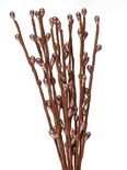 Гілочки весняні з бруньками, коричневі, 20 см, 12 шт., HY0010019495