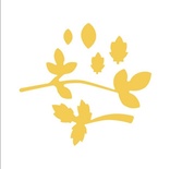 ДЫРОКОЛ ФИГУРНЫЙ 7,5СМ ВЕТОЧКИ, TM dpCraft (Dalprint)