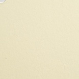 Дизайнерская гладкая бумага SplendorGel avorio, 30х30, цвет: слоновая кость, 100 г/м2, 1 шт.