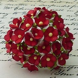 Цветочки любви - sweetheart, цвет белый с красной серединкой, диаметр - 15мм, 10 шт.