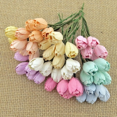 Набір тюльпанів (пастельні відтінки), 10мм, 10 шт.