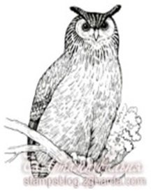 Акриловый штамп FA025 Сова, размер 6 * 5,2 см