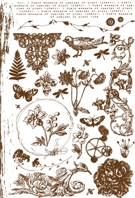 Флоковые натирки от компании Prima - Botanical