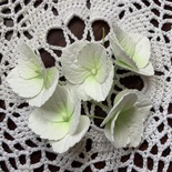 Гортензії з фоамірану з пелюстками з зубчастим краєм, діаметром 35 мм, колір білий, 5шт.