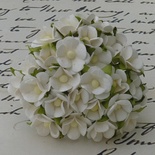 Цветочки любви - sweetheart, цвет белый, диаметр - 15мм, 10 шт.