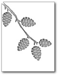 Ножі від Memory Box - Dies - Pinecone Frame