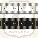 Набор акриловых штампов Lesia Zgharda RE072 Сантиметровые ленты, 2 шт