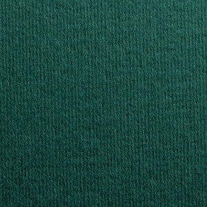 Картон з фактомурою вельвету Dali verde verde pino, розмір: 30x30 см, колір: зелений, щільність: 285 г/м², 1 шт