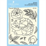 Набір штампів від Cherrylana - "Півонії", малий