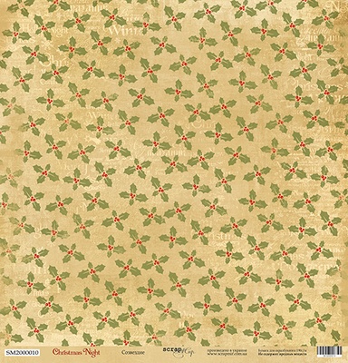 Аркуш односторонній Scrapmir - Сузірʼя - Christmas Night, 30x30cм