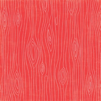 Аркуш двостороннього паперу для скрапбукінгу від Echo Park - Clothes Line Paper, 30x30см