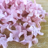 Волнистые гортензии, цвет: розовый, диаметр 2,5 см, 20 шт.