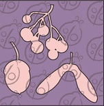 Чипборд Набір "Осенній ліс"