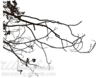 Акриловый штамп FL020 Ветви дерева, размер 7,2 * 5,2 см