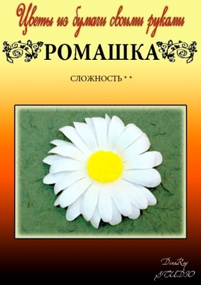 Набір паперу для виготовлення квітів - Ромашка