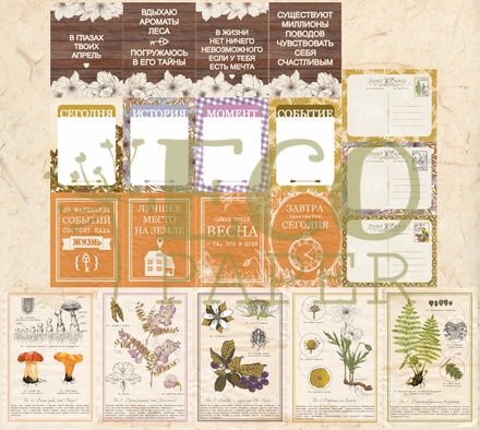 Набор карточек от EcoPaper -  "Тайны леса", 20шт.