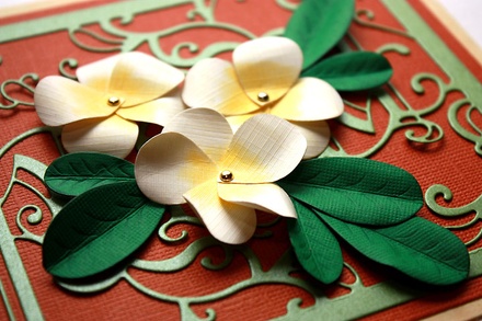 Ніж для вирубки Frangipani with Leaves від Cheery Lynn Designs