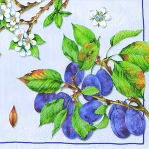 Серветка для декупажу "Гілки стиглої сливи і квітучі гілки", колір фону: блакитний, розмір: 33x33 см