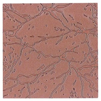 Пластина для тиснения от Spellbinders -  Crackle