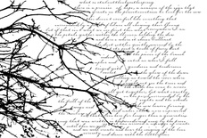 Резиновый штамп от Memory Box -  Skywriting