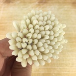 Тайські тичинки тюльпана на дроті, колір молочний-білий, 5шт.