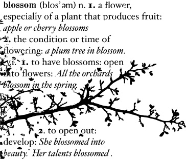 Гумовий штамп від Memory Box - Blossom Branch