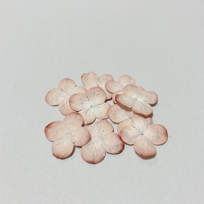 Гортензія персикова, 20 мм, 20 шт.