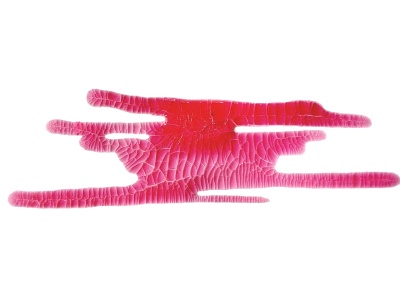 Кракелюрный лак-акцент от ScrapEgo - Сакура, цвет фуксия