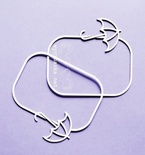 Чипборд від Wycinanka "ramki z parasolkami" - рамки з парасолями, 7,7x8,5см