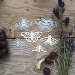 Набор ножей для вырубки от Mimicut "Крылатое трио-2", 63x39, 43x24, 54x33мм