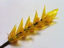 Гілочка жовтої купини, 17 см