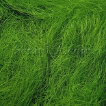 Сизаль натуральный, цвет светло-оливковый, 40 г