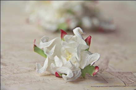 Гардения, диаметр 5 см, цвет белый, 1 шт.