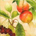 Серветка для декупажу "персики і вишні на гілках", колір фону: абрикосовий, розмір: 33x33 см