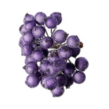 Ягідки круглі в обсипці, колір фіолетовий, 14 см х 12 мм, по 2 шт. на стебельці, всього 40 шт.