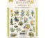 Набір висічок для скрапбукінгу, колекція Spring Botany, 58шт., ТМ Фабрика Декору
