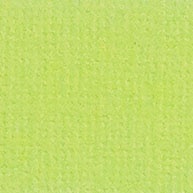 Кардсток текстурний салатовий, 30,5*30,5см, 216 г/м² SCB172312107