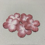 Гортензія, рожево-біла, діаметр 40 мм, 20 шт.