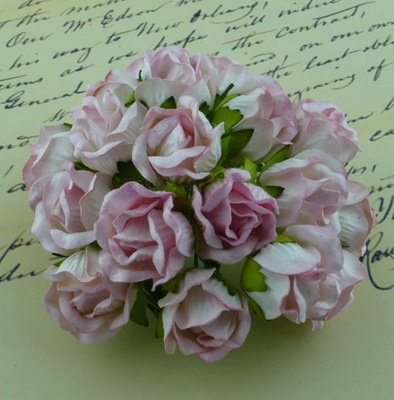 Бутони великі дикої троянди, колір ніжний-рожевий, розмір бутона 2см, 1шт