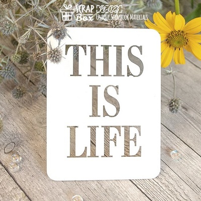 Чипборд ScrapBox - Карточка Project Life PL-023